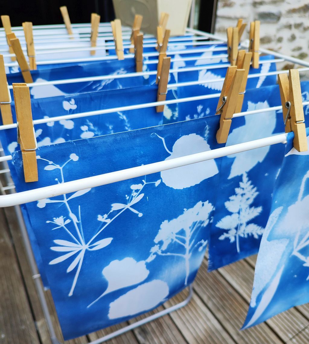 Atelier cyanotype